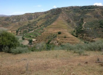Giolou, Paphos Agricultural Field For Sale | WW28078