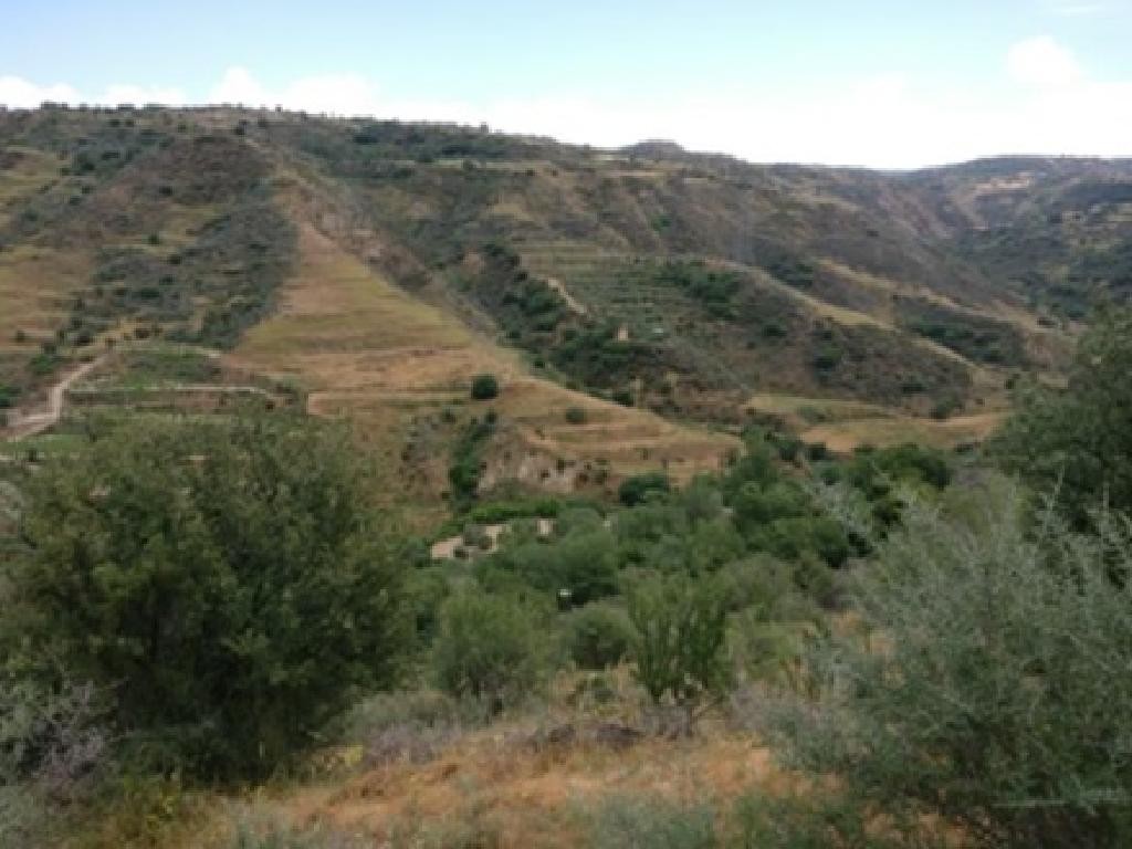 2 Adjacent Fields - Giolou, Paphos