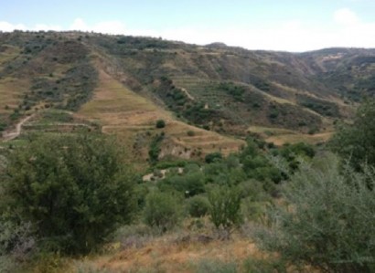 Giolou, Paphos Agricultural Field For Sale | WW28078