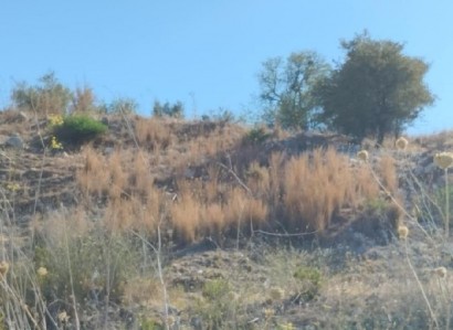 Fyti, Paphos Agricultural Field For Sale | WW28080