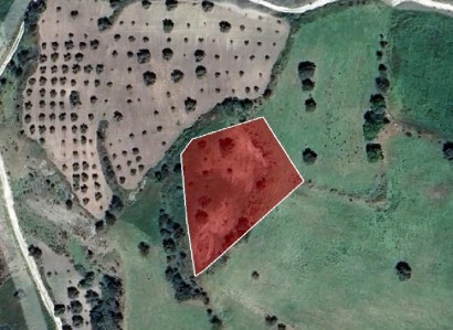 Fyti, Paphos Agricultural Field For Sale | WW28080