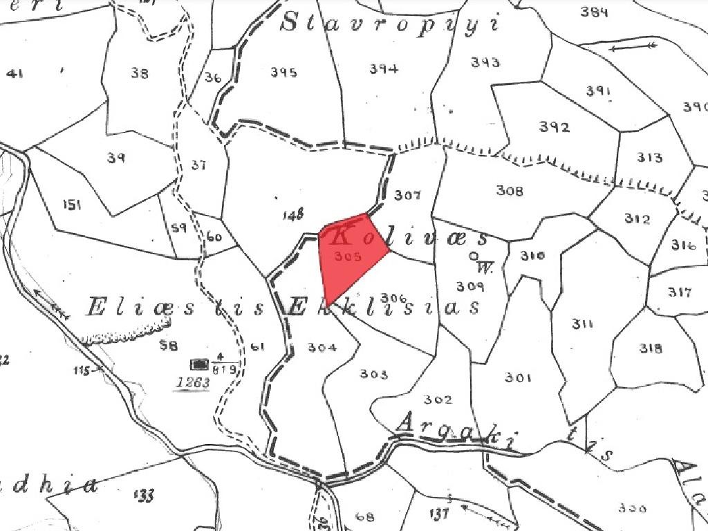 Field - Fyti, Paphos