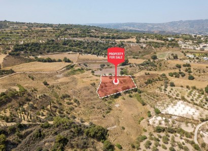 Simou, Paphos Agricultural Field For Sale | WW28081