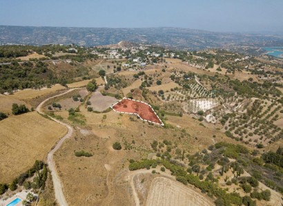Simou, Paphos Agricultural Field For Sale | WW28081
