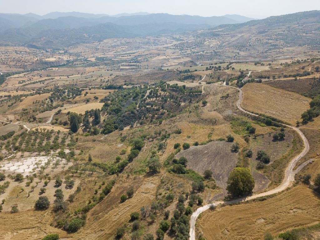Field - Simou, Paphos