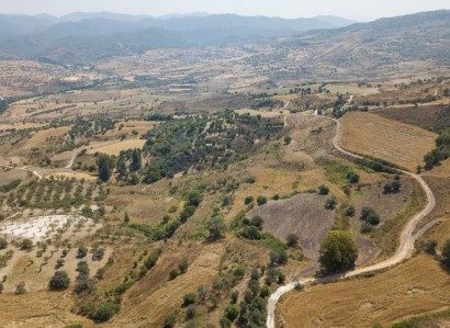 Simou, Paphos Agricultural Field For Sale | WW28081