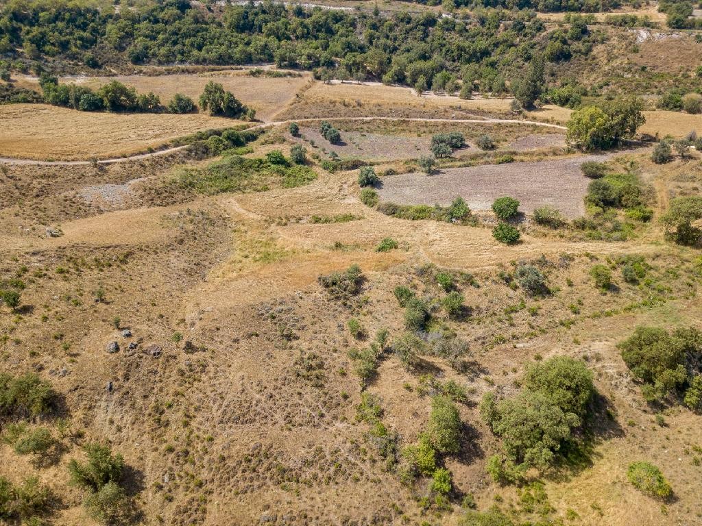 Field - Simou, Paphos