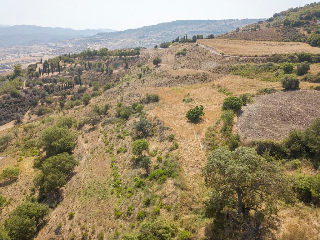 Field - Simou, Paphos