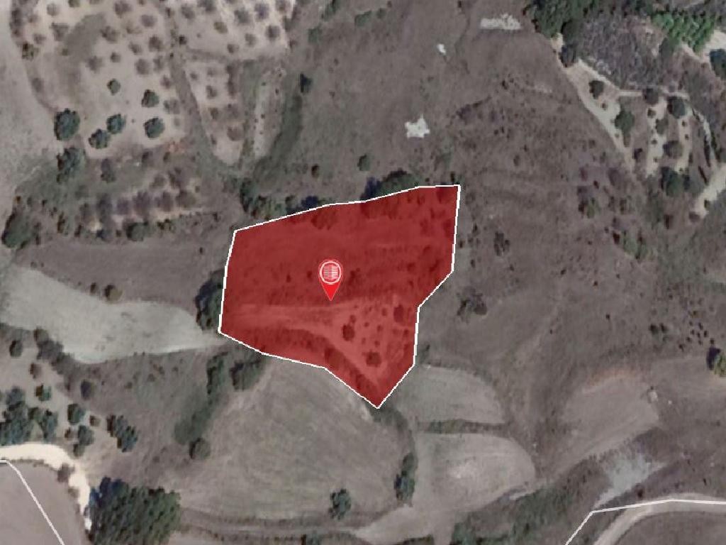 Field - Simou, Paphos