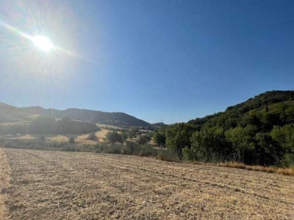 Giolou, Paphos Agricultural Field For Sale | WW28082