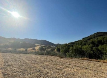 Giolou, Paphos Agricultural Field For Sale | WW28082