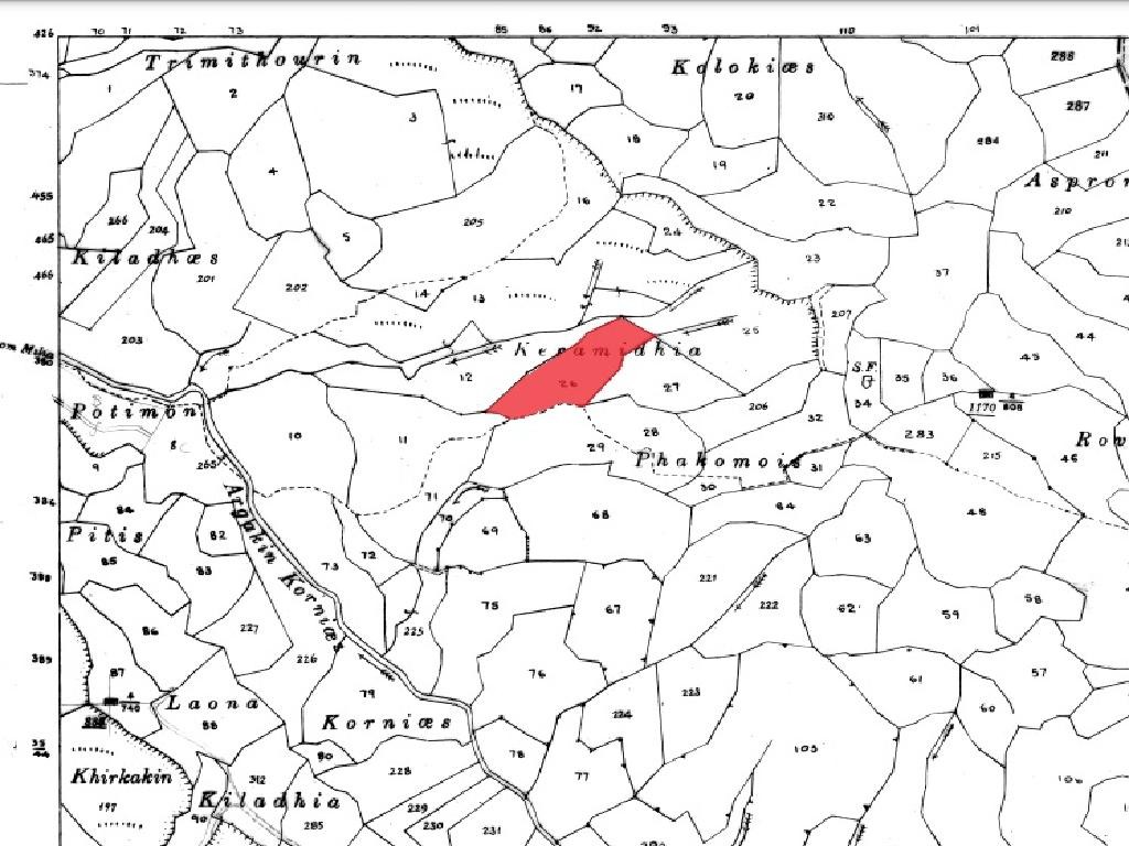 Field - Giolou, Paphos