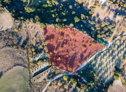 Simou, Paphos Residential Field For Sale | WW28083