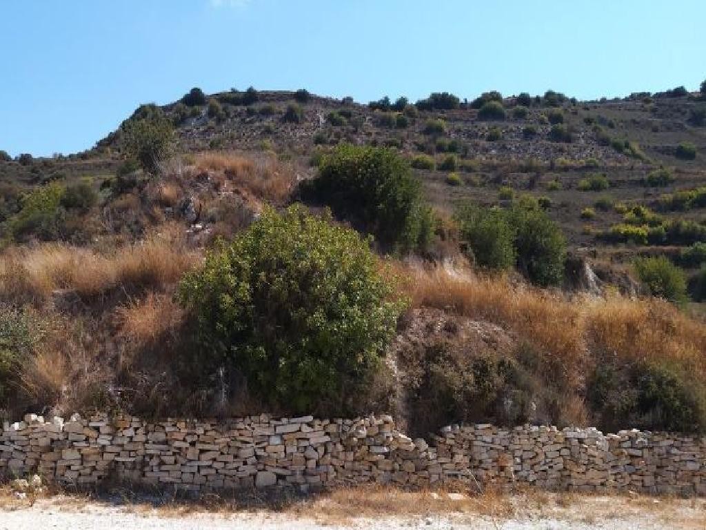 Pachna, Limassol Agricultural Field For Sale | WW28097