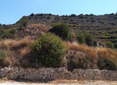 Pachna, Limassol Agricultural Field For Sale | WW28097