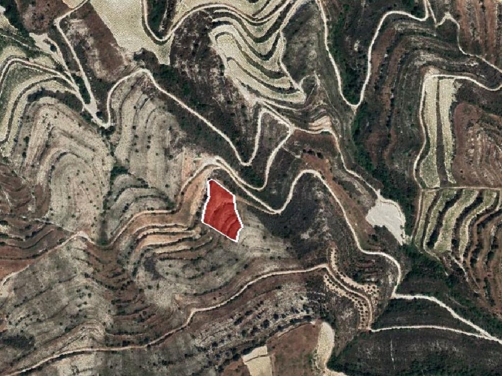 Field –Pachna, Limassol