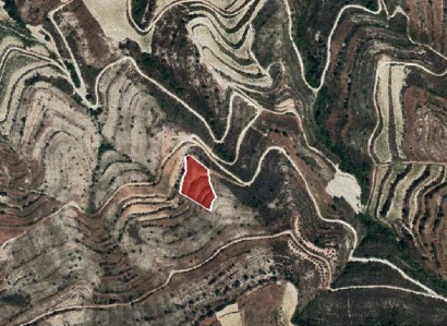 Pachna, Limassol Agricultural Field For Sale | WW28097
