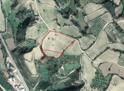 Goudi, Paphos Agricultural Field For Sale | WW28106