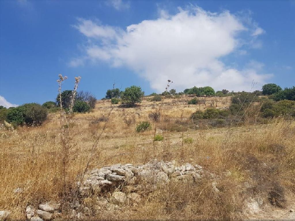 Pachna, Limassol Agricultural Field For Sale | WW28108