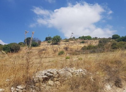 Pachna, Limassol Agricultural Field For Sale | WW28108