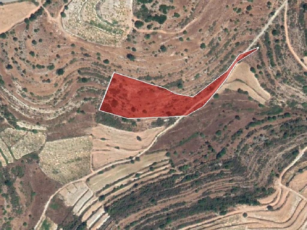 Field - Pachna, Limassol