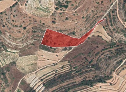Pachna, Limassol Agricultural Field For Sale | WW28108