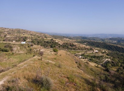 Psathi, Paphos Agricultural Field For Sale | WW28152