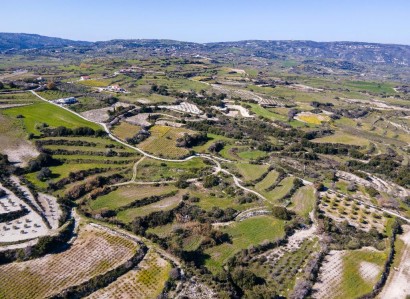 Polemi, Paphos Agricultural Field For Sale | WW28155