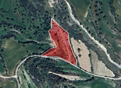 Thrinia, Paphos Agricultural Field For Sale | WW28162