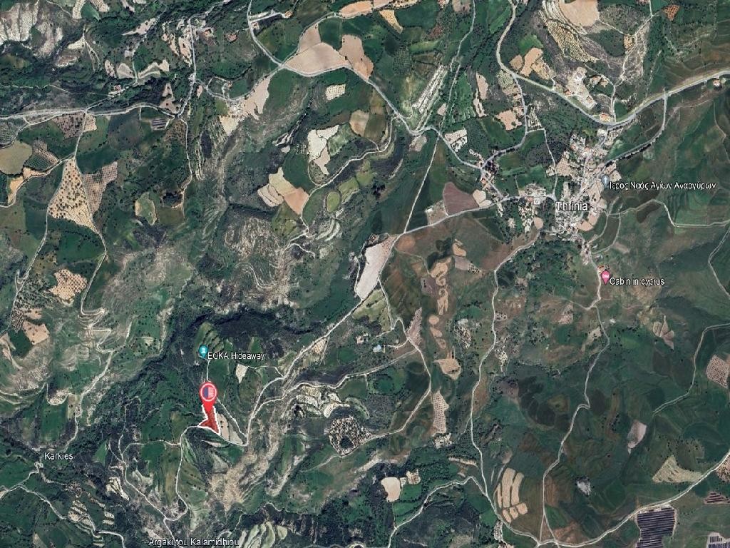 Field - Thrinia, Paphos