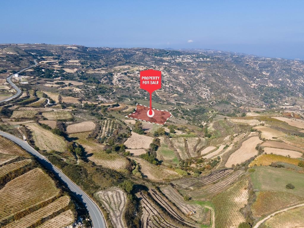 Theletra, Paphos Agricultural Field For Sale | WW28167