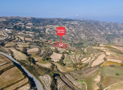 Theletra, Paphos Agricultural Field For Sale | WW28167