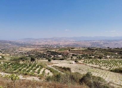 Theletra, Paphos Agricultural Field For Sale | WW28167