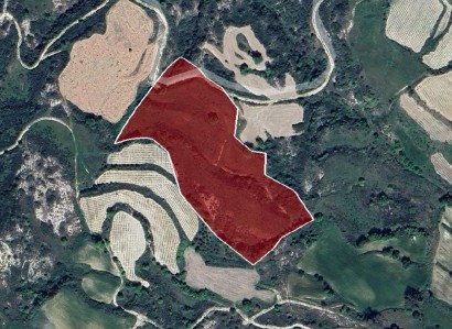 Theletra, Paphos Agricultural Field For Sale | WW28167