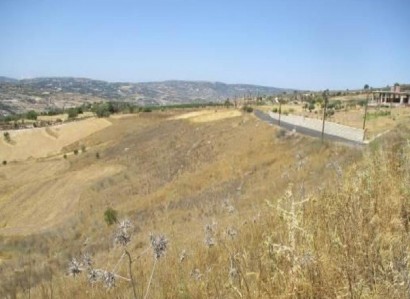 Thrinia, Paphos Residential Field For Sale | WW28169