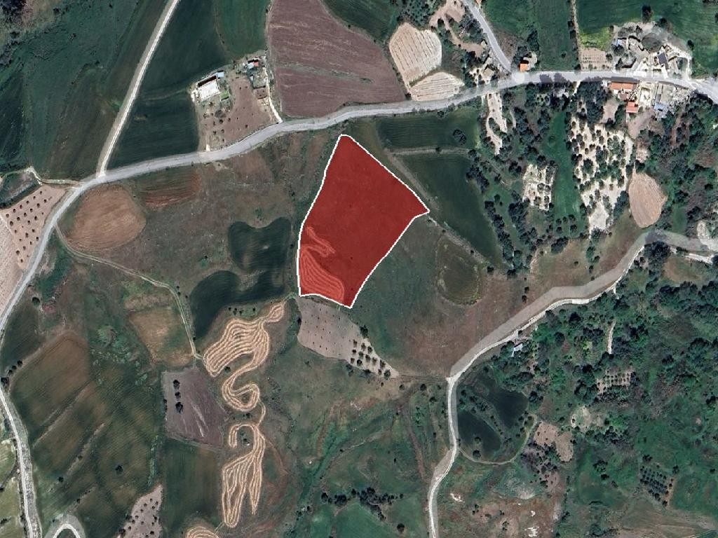 Field - Τhrinia, Paphos