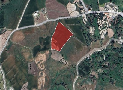 Thrinia, Paphos Residential Field For Sale | WW28169