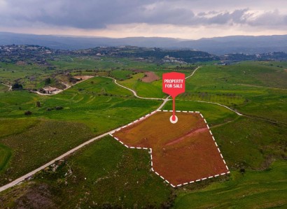 Milia, Paphos Agricultural Field For Sale | WW28175