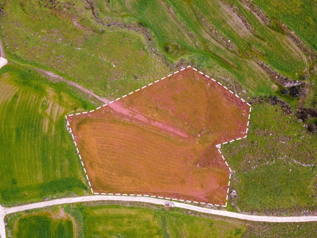 Field - Milia, Paphos
