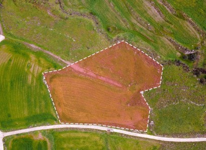 Milia, Paphos Agricultural Field For Sale | WW28175