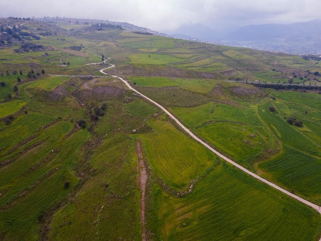 Field - Milia, Paphos