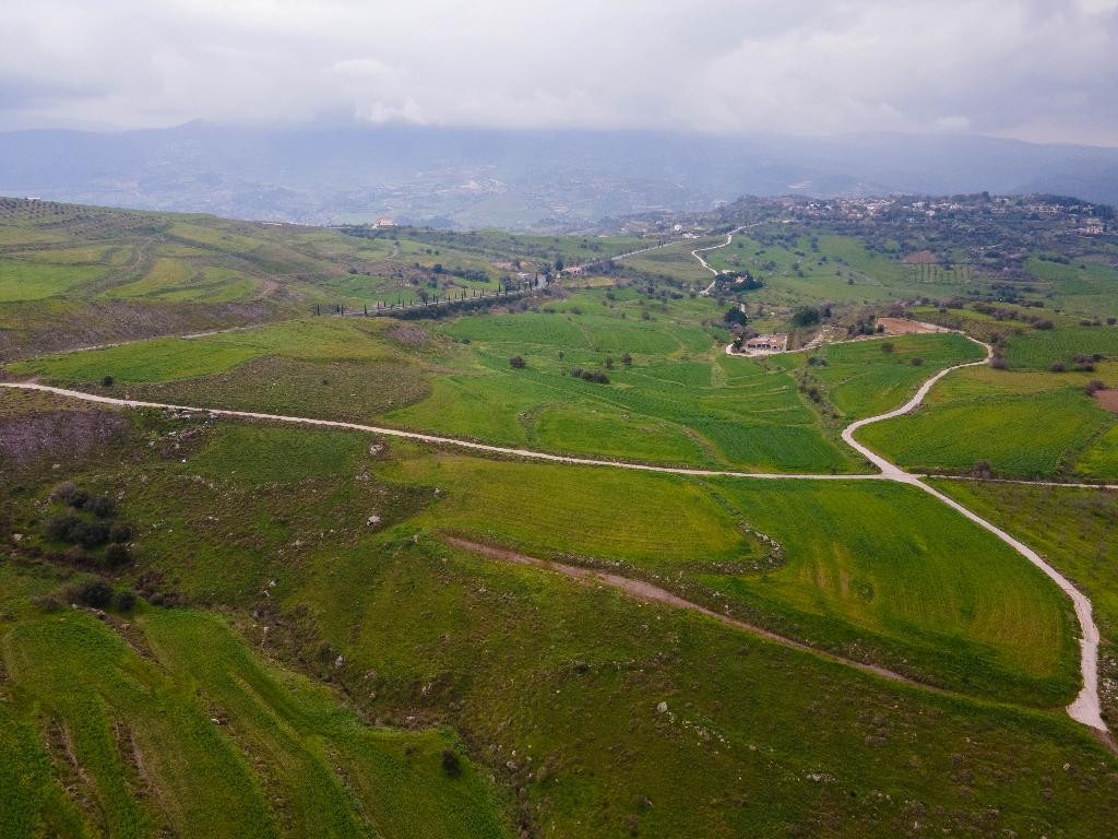 Field - Milia, Paphos