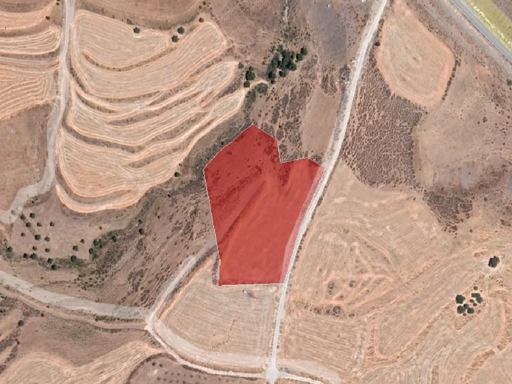 Field - Milia, Paphos