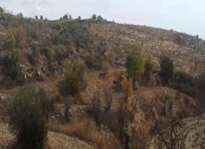 Drymou, Paphos Agricultural Field For Sale | WW28177