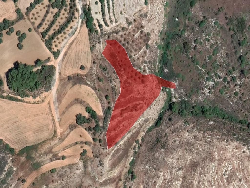 Field - Drymou, Paphos