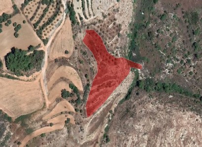 Drymou, Paphos Agricultural Field For Sale | WW28177