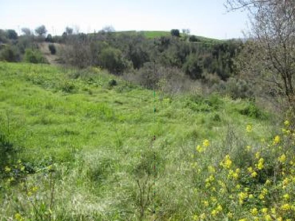 Drymou, Paphos Residential Field For Sale | WW28185