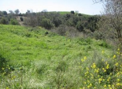 Drymou, Paphos Residential Field For Sale | WW28185