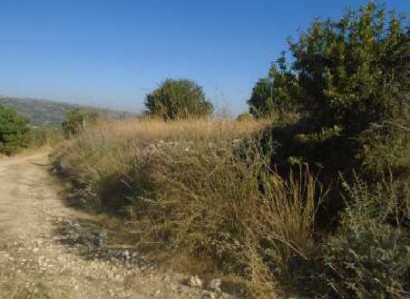 Giolou, Paphos Agricultural Field For Sale | WW28191
