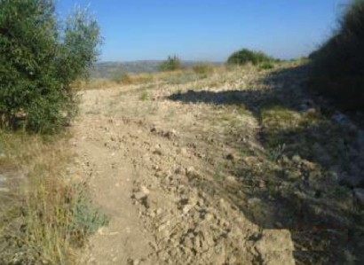 Giolou, Paphos Agricultural Field For Sale | WW28191